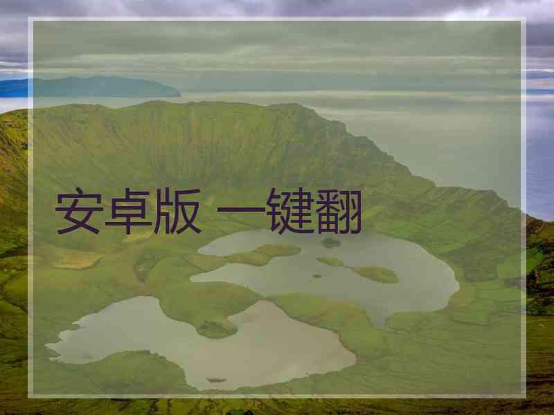 安卓版 一键翻