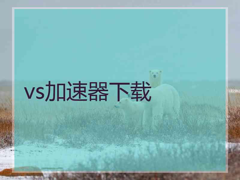vs加速器下载