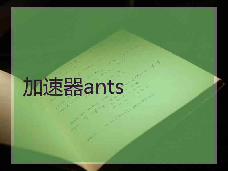 加速器ants