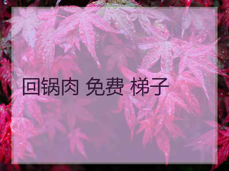 回锅肉 免费 梯子