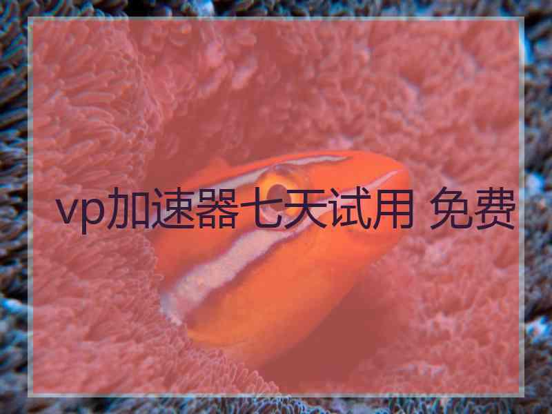 vp加速器七天试用 免费