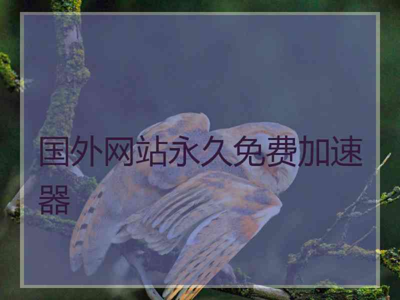 国外网站永久免费加速器