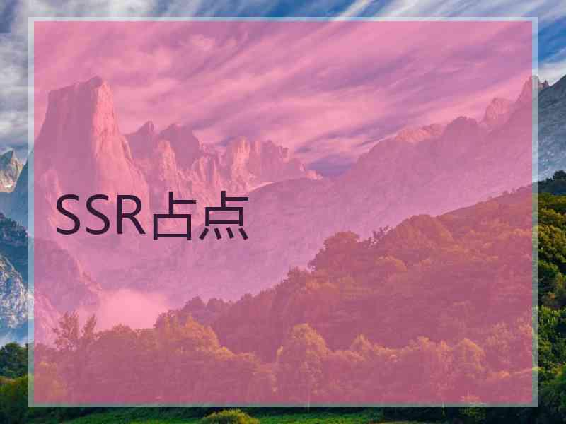 SSR占点