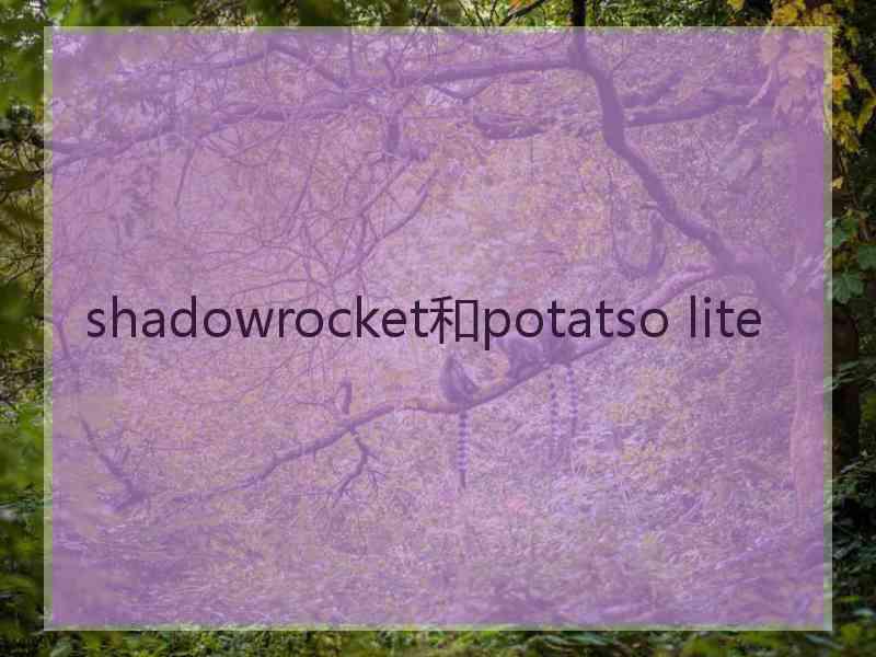 shadowrocket和potatso lite