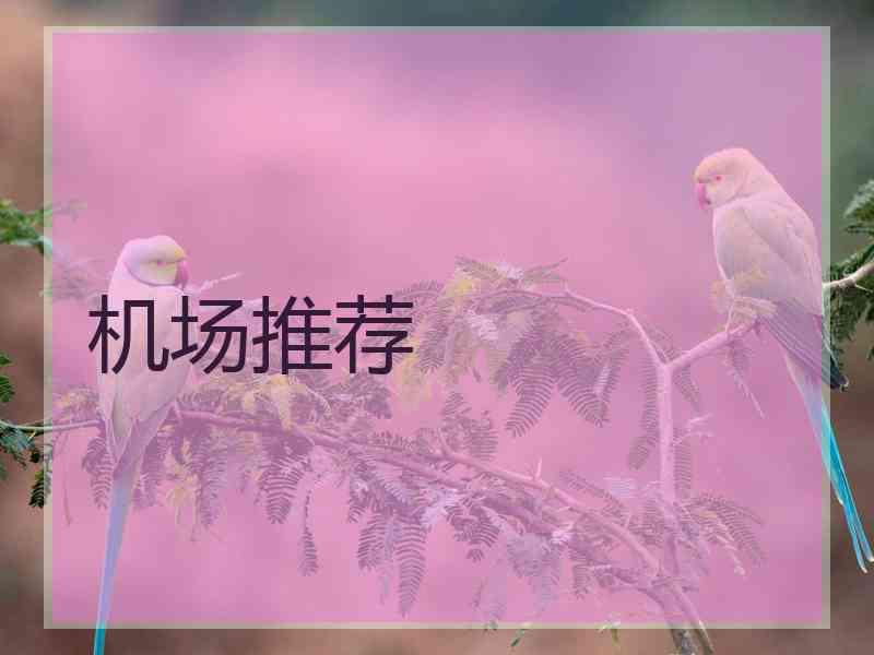机场推荐