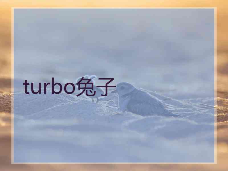 turbo兔子