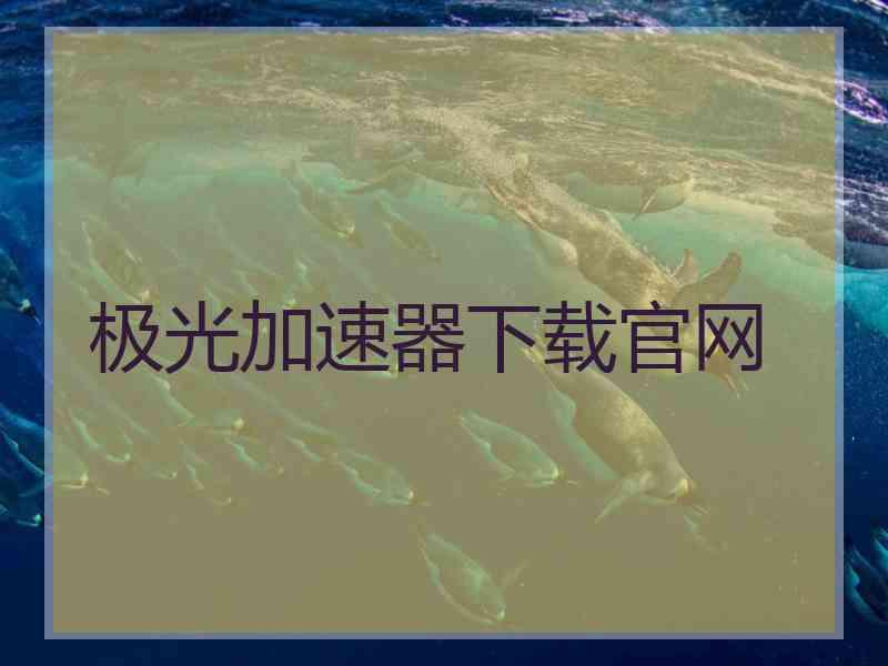 极光加速器下载官网
