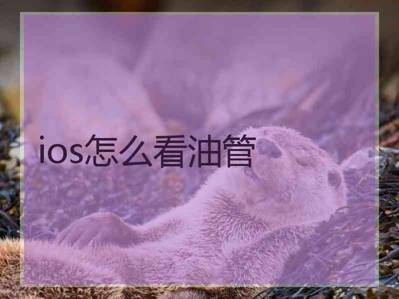 ios怎么看油管