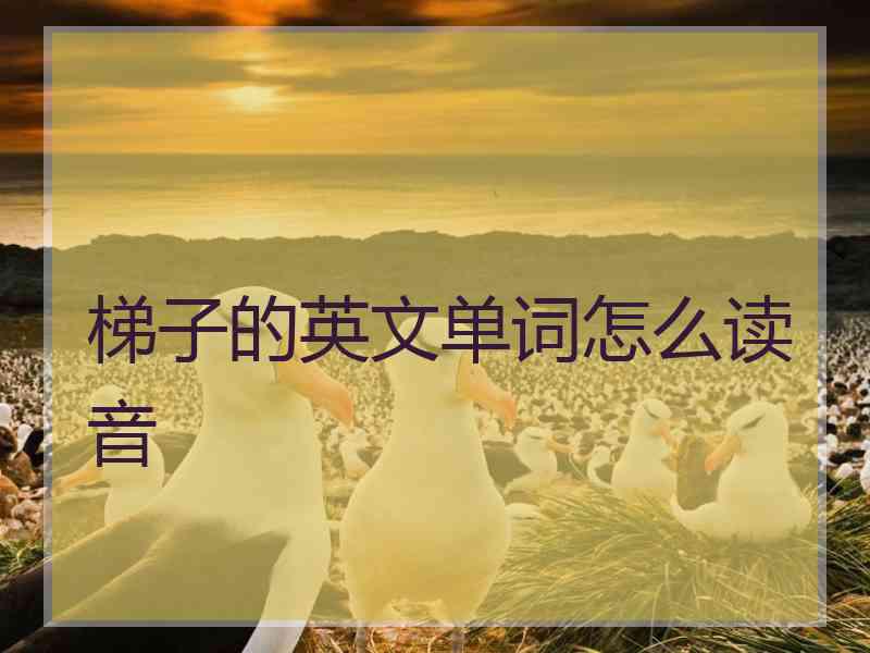 梯子的英文单词怎么读音