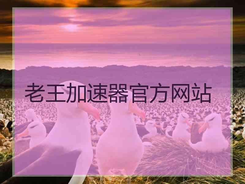 老王加速器官方网站