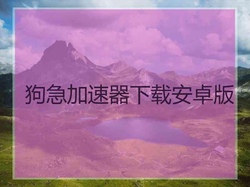 狗急加速器下载安卓版