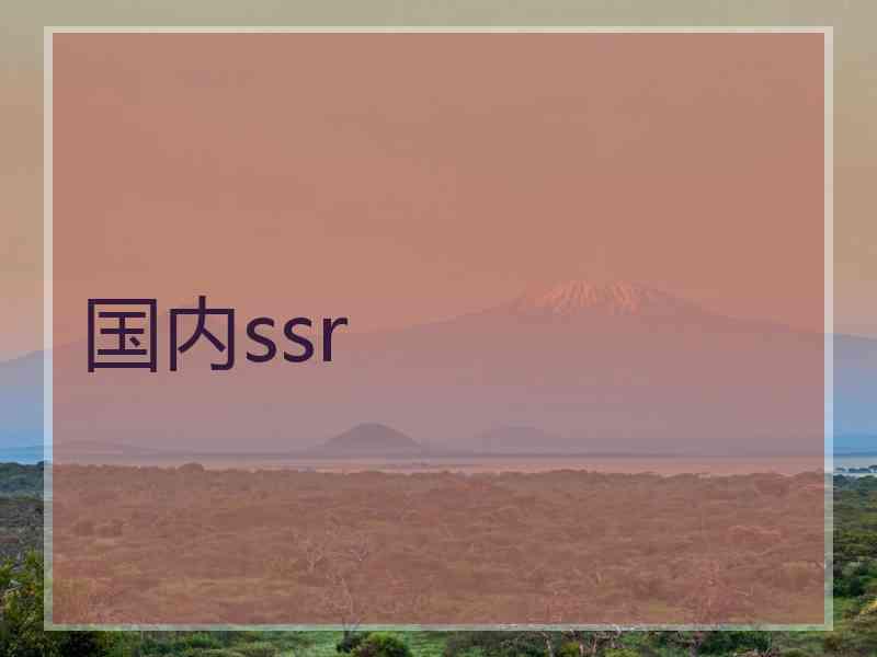 国内ssr