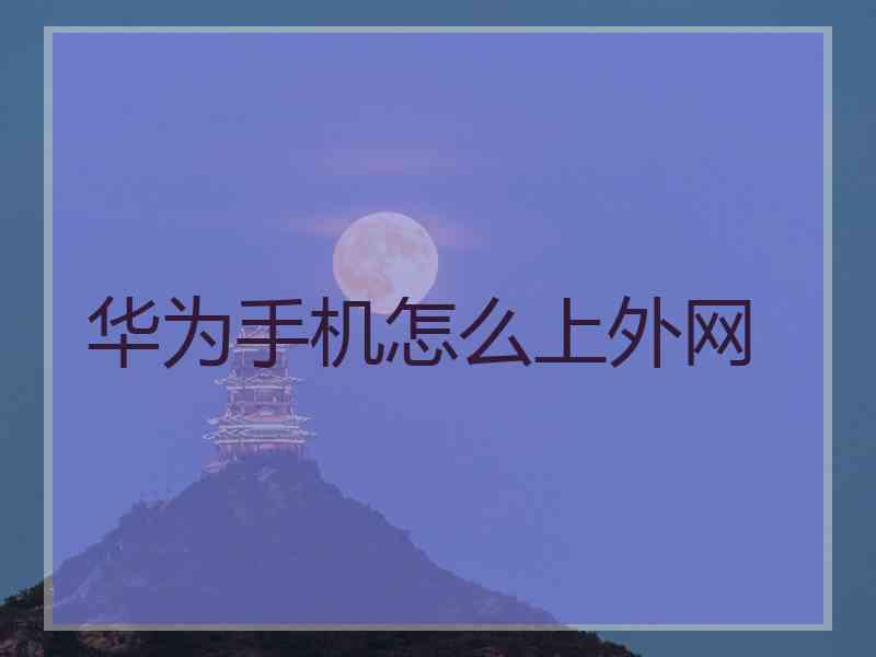 华为手机怎么上外网
