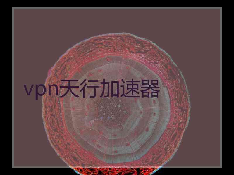 vpn天行加速器