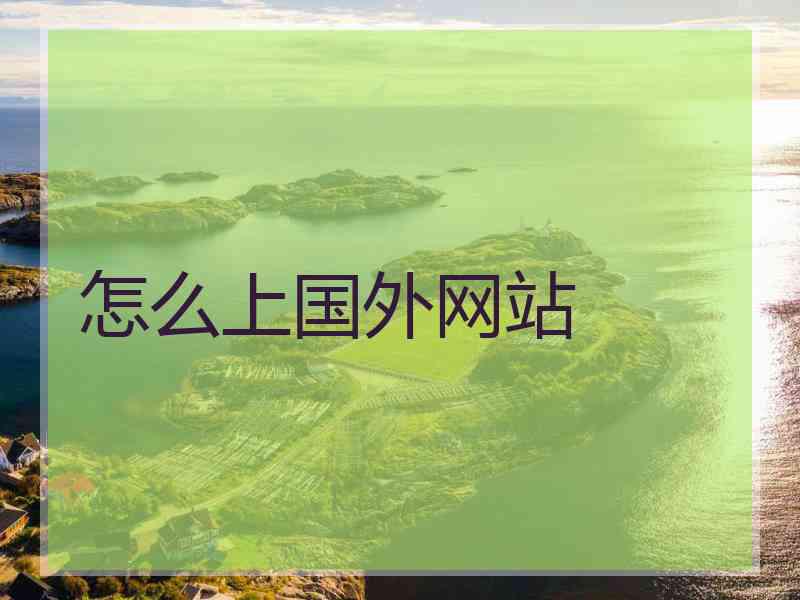 怎么上国外网站