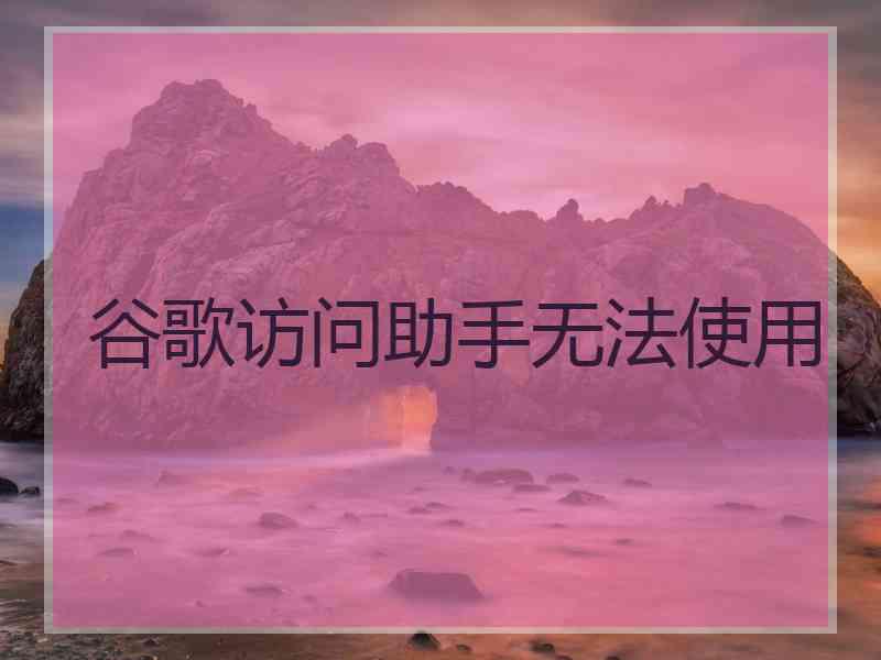 谷歌访问助手无法使用