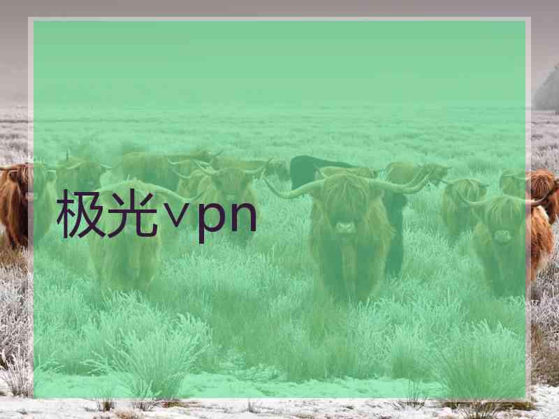 极光∨pn
