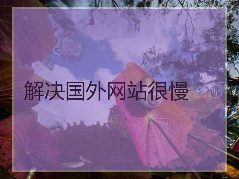 解决国外网站很慢