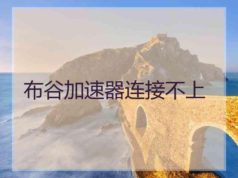 布谷加速器连接不上
