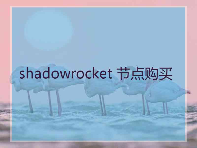 shadowrocket 节点购买