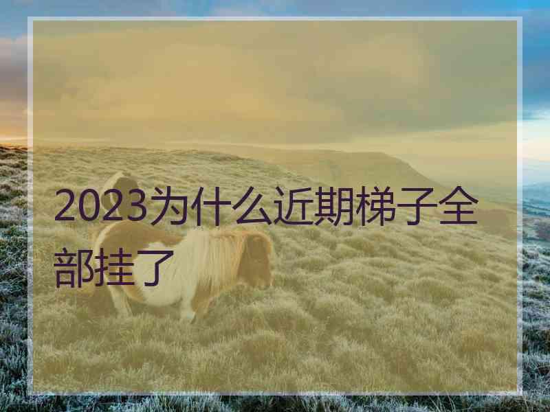 2023为什么近期梯子全部挂了
