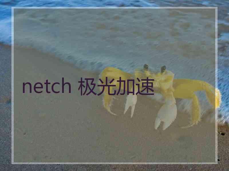 netch 极光加速
