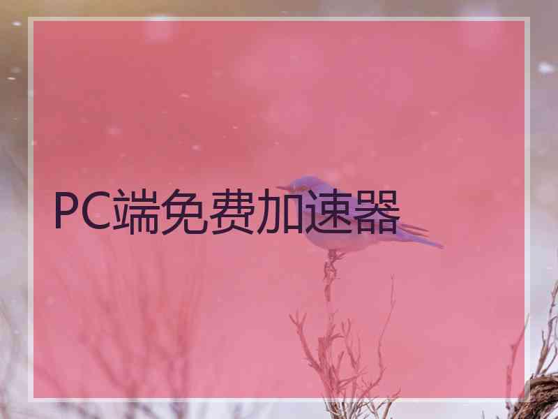 PC端免费加速器