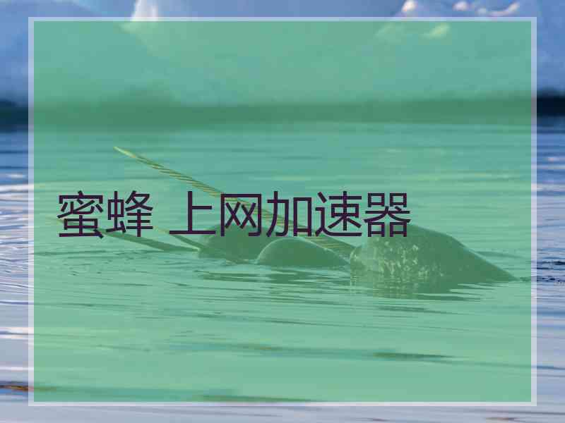 蜜蜂 上网加速器
