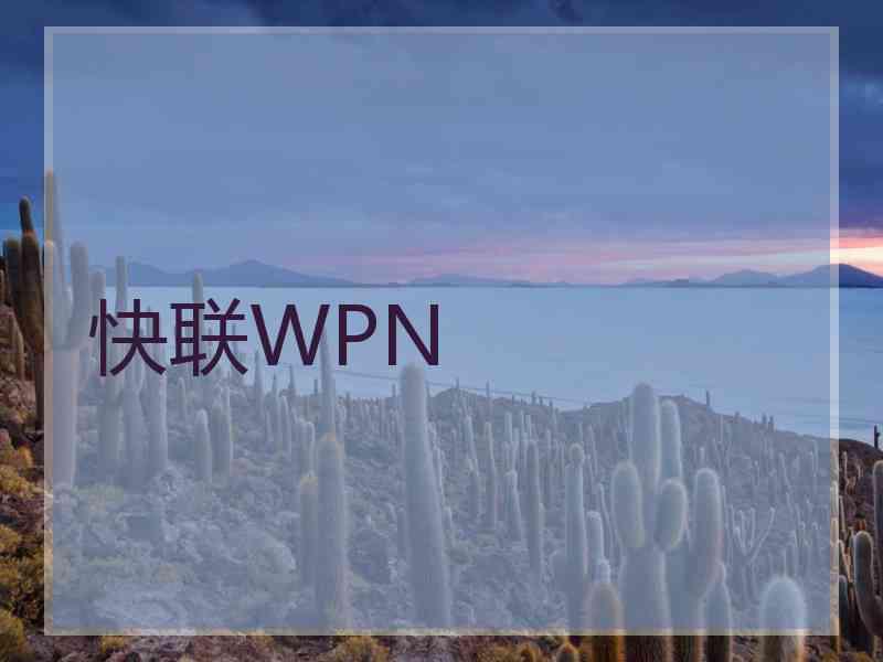 快联WPN