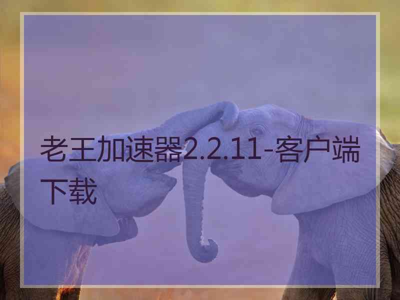 老王加速器2.2.11-客户端下载