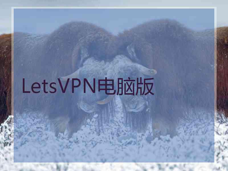 LetsVPN电脑版