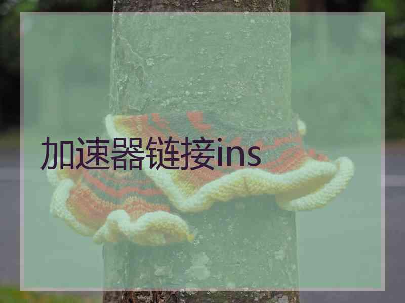 加速器链接ins