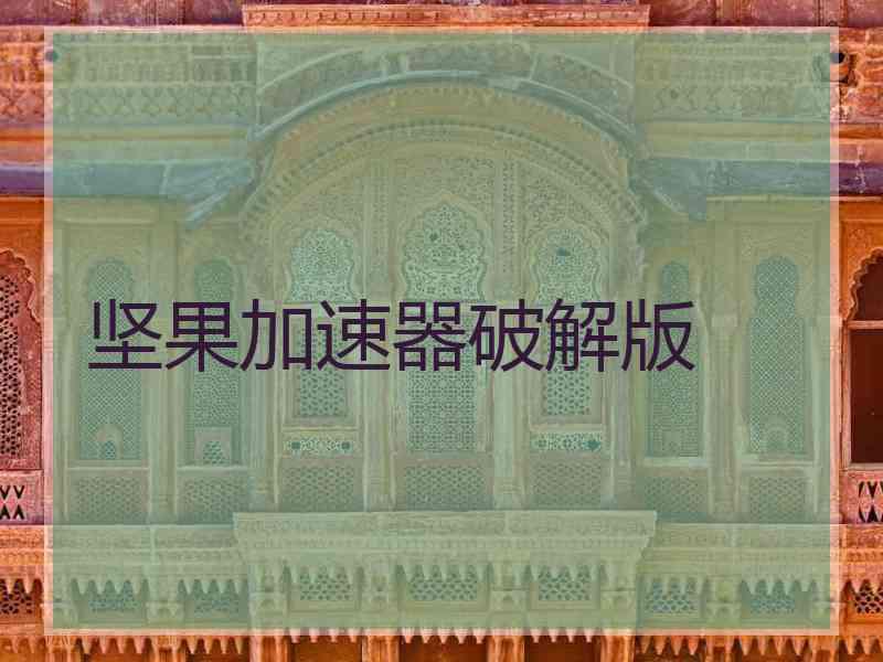 坚果加速器破解版
