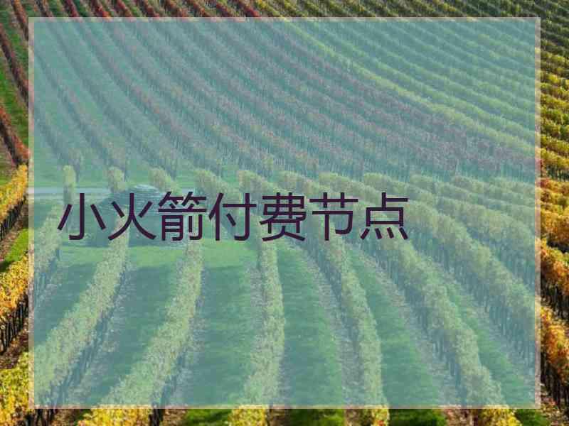 小火箭付费节点