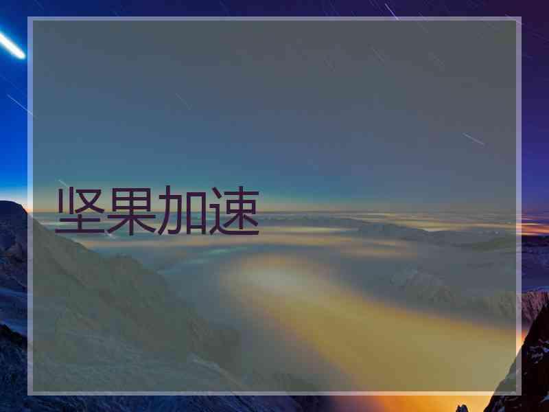 坚果加速