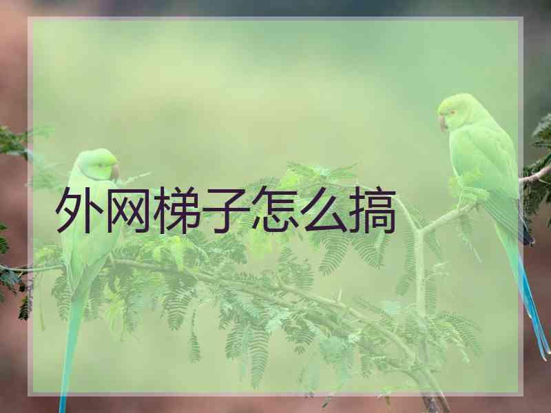 外网梯子怎么搞