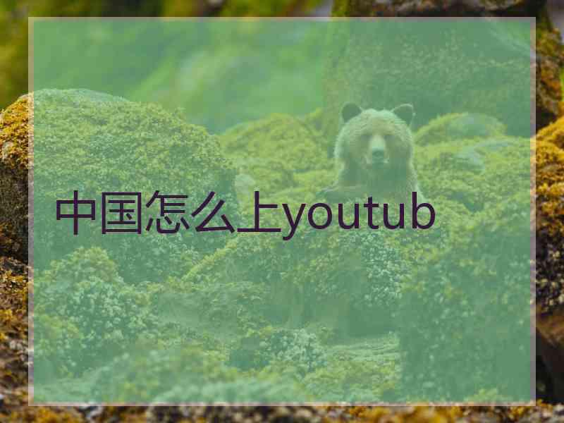 中国怎么上youtub