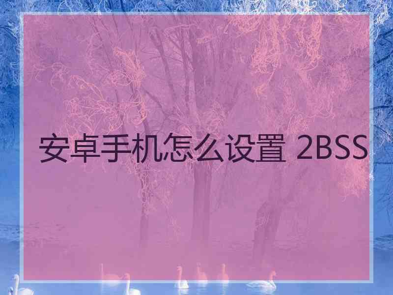安卓手机怎么设置 2BSS
