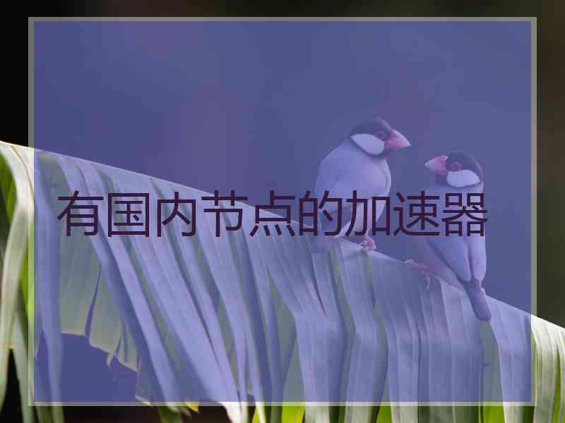 有国内节点的加速器