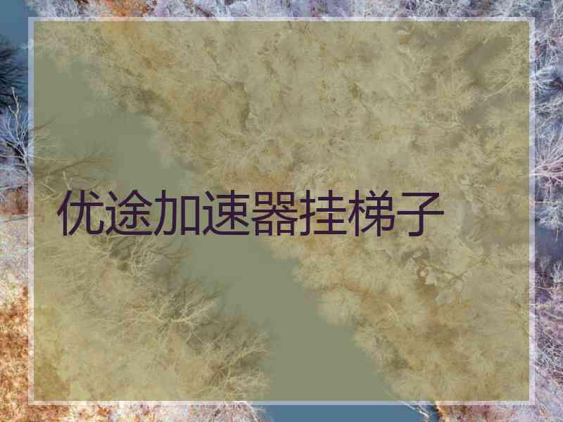 优途加速器挂梯子