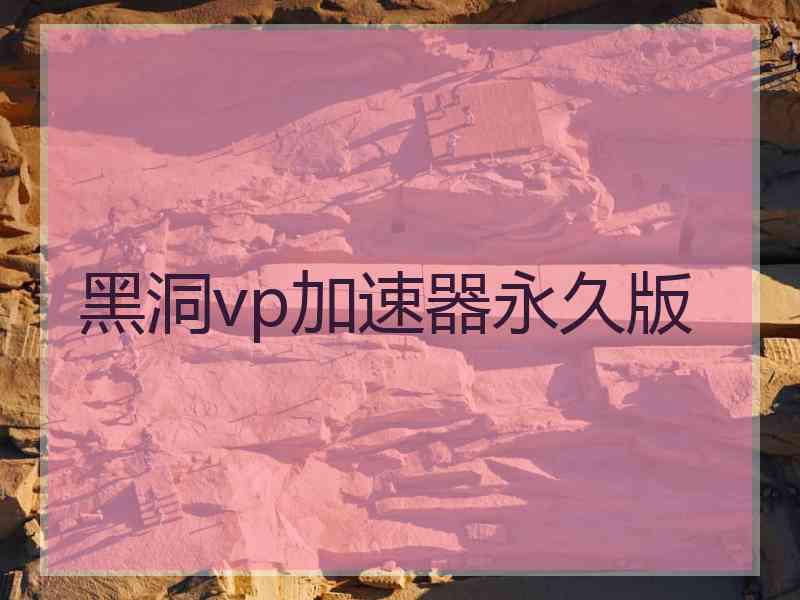 黑洞vp加速器永久版