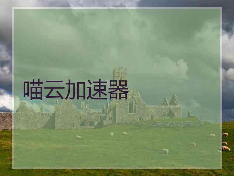 喵云加速器