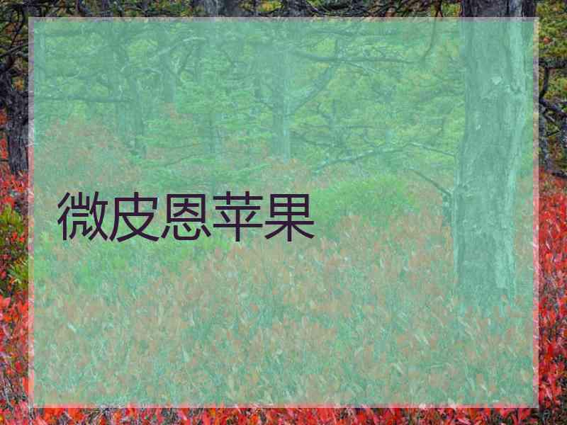 微皮恩苹果