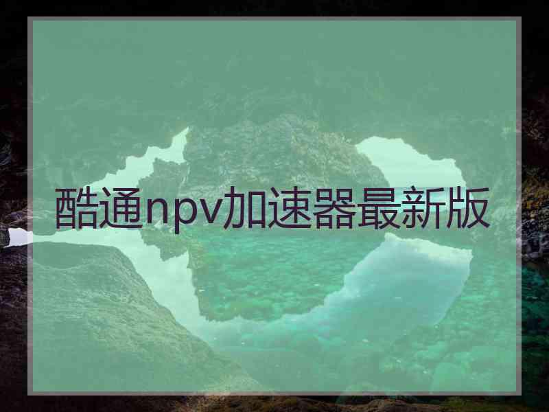 酷通npv加速器最新版