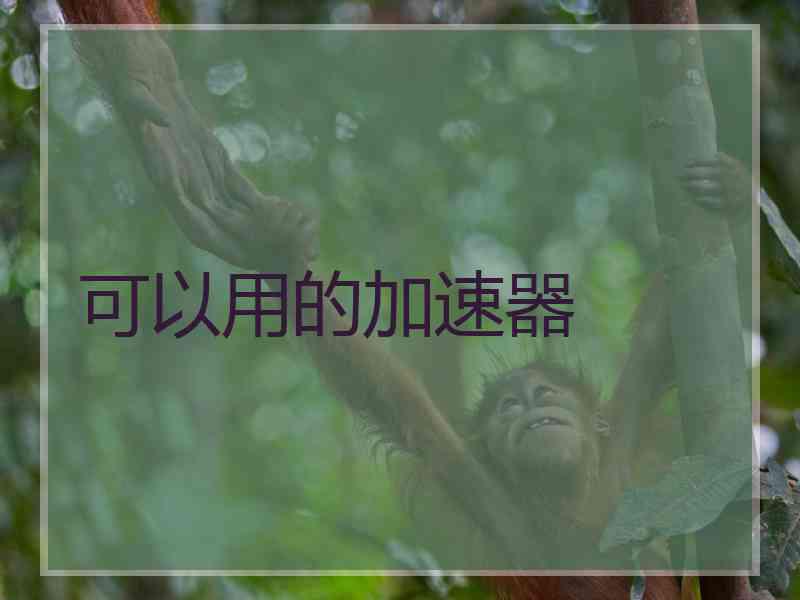 可以用的加速器