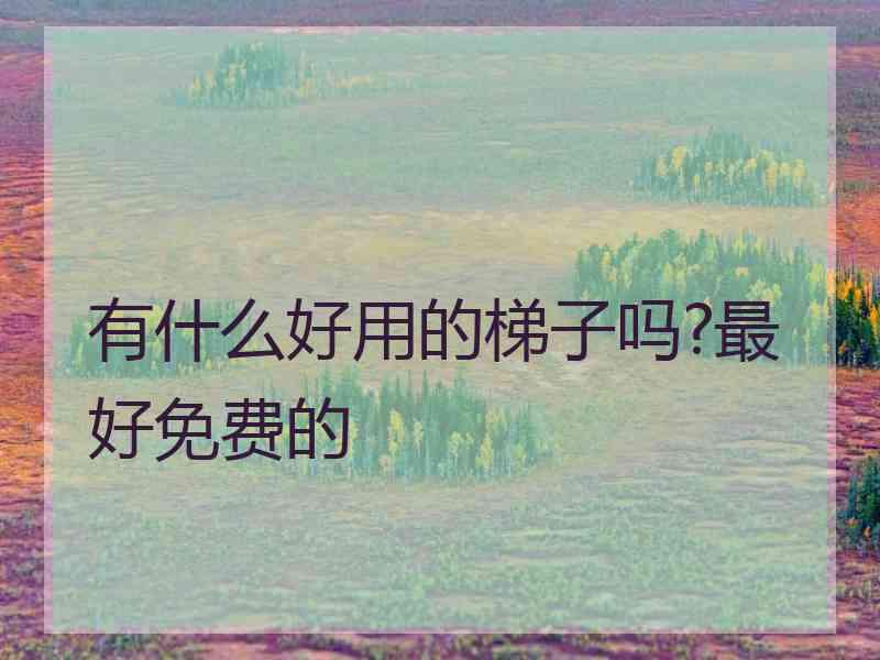 有什么好用的梯子吗?最好免费的