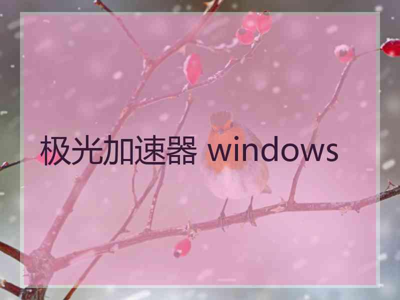 极光加速器 windows