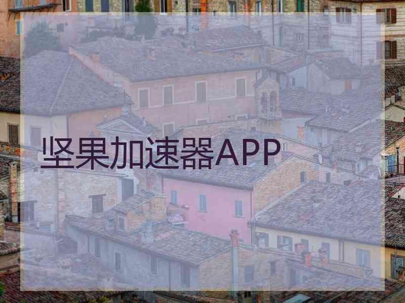 坚果加速器APP