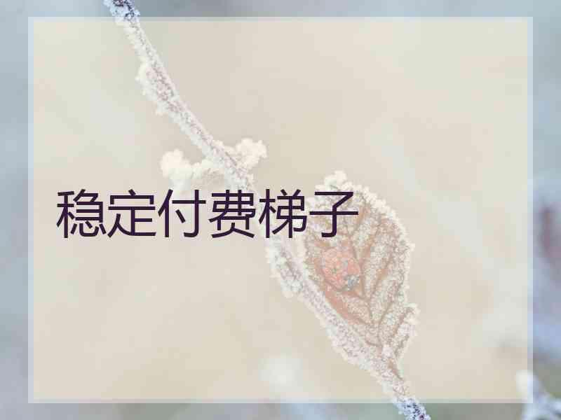 稳定付费梯子