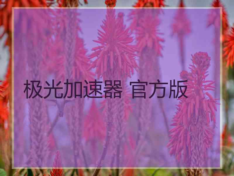 极光加速器 官方版
